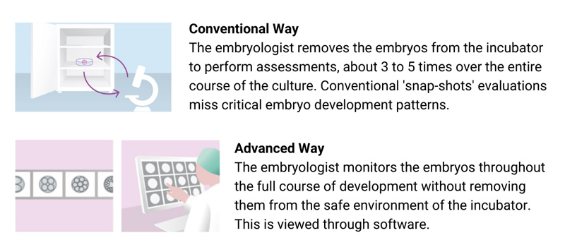 timelapseinvitrofertilisation