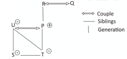 P, Q, R, S, T and U are six members of a family. R is the spouse of Q, U is the mother of T and S is the daughter of U. P's daughter is T and Rs son is P. There are two couples in the family. Which one of the following is correct? (a) is the grandfather of T (b) is the grandmother of T (c) R is the mother of P. (d) T is the granddaughter of 