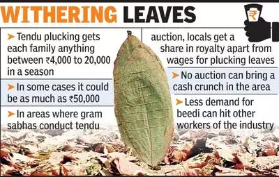 Rights over leaves, flowers give Indian tribal groups