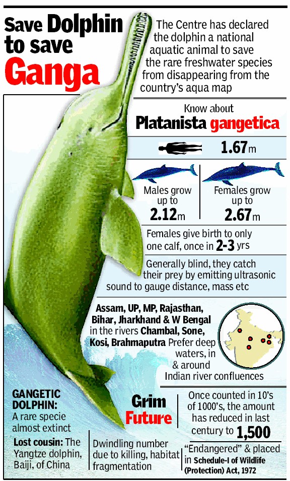 The Ganges River Dolphin, commonly known as ''Susu,'' is India''s national aquatic animal. It is one among India''s national symbols. Gangetic Dolphins can be found in Nepal, India, and Bangladesh in the river systems of the Ganga, Brahmaputra, Meghna, and Karnaphuli- Sangu.   The Ganges River Dolphin was designated as India''s National Aquatic Animal in order to safeguard it from extinction. The Ganges Dolphin is also seen as a barometer of the Ganga River''s health. The declaration was made at the first meeting of the National Ganga River Basin Authority (NGRBA) in 2009.