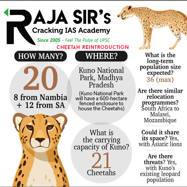 Cheetah Reintroduction