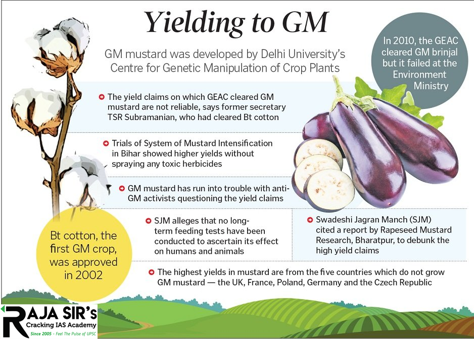 DMH-11 (GM Mustard) Biotechnology for Prelims, S&T    It is a Genetically Modified Mustard DMH = Dhara Mustard Hybrid It is herbicide tolerant mustard Developed by the Centre for Genetic Manipulation of Crop Plants of Delhi University It was created by using &ldquo;barnase/barstar&rdquo; technology for genetic modification by adding genes from soil bacterium that makes mustard self-pollinating plant. DMH -11 contains three genes viz. Bar gene, Barnase and Barstar sourced from soil bacterium. The bar gene had made plant resistant to herbicide named Basta. If it gets the green light from the environment ministry&rsquo;s GEAC, it will be the first GM food crop to be commercially cultivated in India It was a government sponsored project