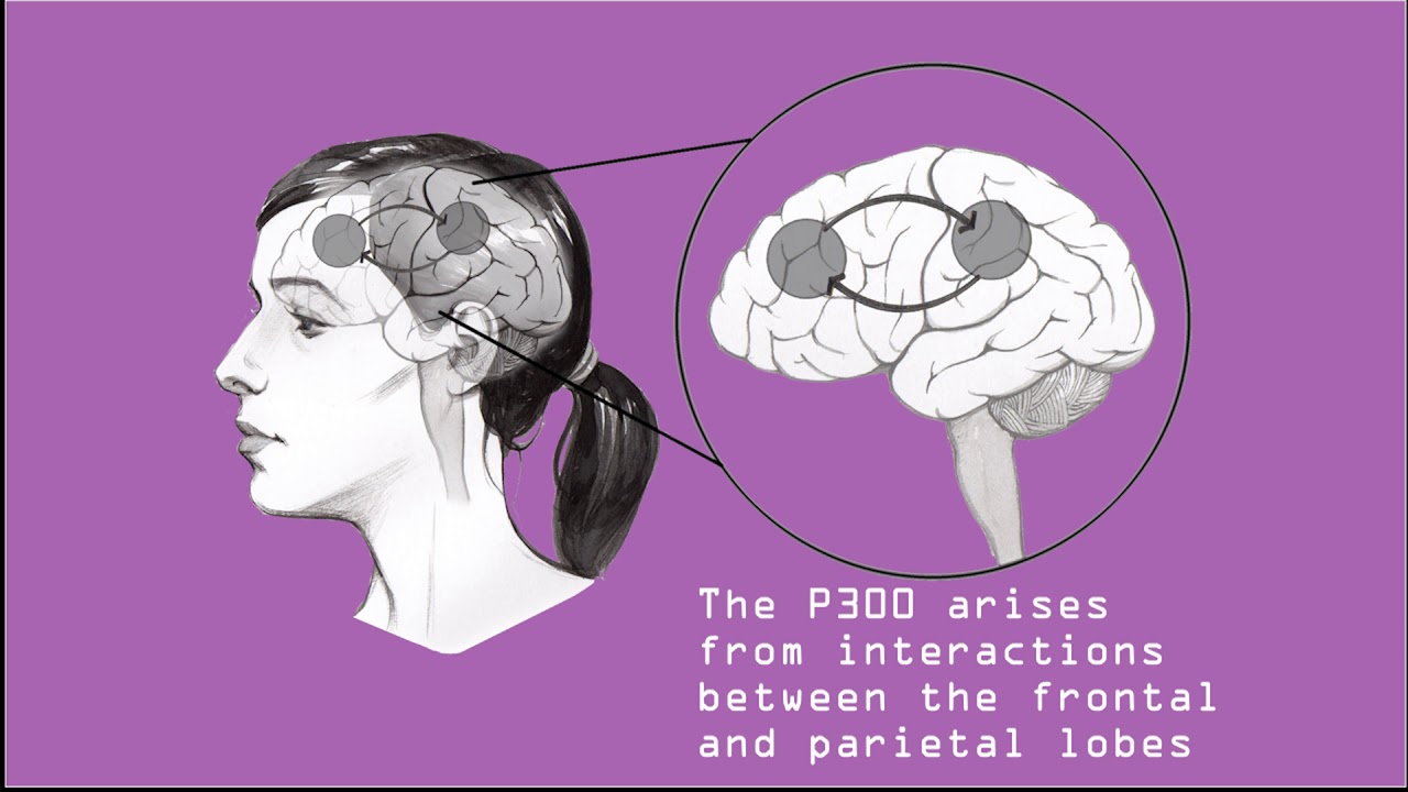 Brain Mapping Test or P-300 test: In this test, the activity of the brain of a suspect is measured during interrogation to find out whether he is concealing any information.  Brain-mapping is a comprehensive analysis of brainwave frequency bandwidths. In this test, forensic experts apply unique neuroscience techniques to find out if a suspect''s brain recognises things from a crime scene &nbsp;which an innocent person''s brain will have no knowledge of. In brain-mapping, sensors are attached to the suspect''s head and he or she is made to sit in front of a computer screen. The suspect is then made to see images or hear sounds. The sensors monitor electrical activity in the brain and register certain waves which are generated only if the suspect has any connection with the stimulus (image or sound).
