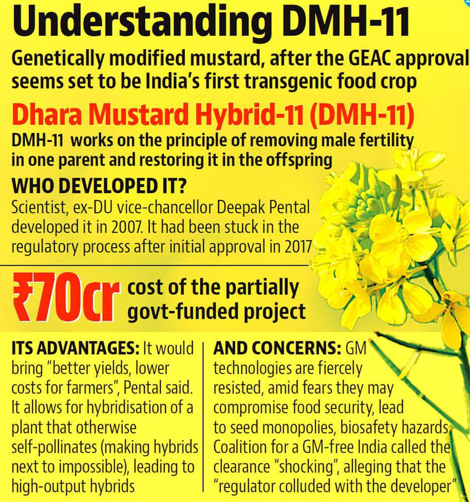 The debate over the use of&nbsp;genetically modified cropsis raging again, with familiar&nbsp;arguments and objections&nbsp;being made. Recently, the government had cleared the&nbsp;&lsquo;environmental release&rsquo; of a genetically modified (GM) variety of mustard, DMH-11, developed by the&nbsp;Centre for Genetic Manipulation of Crop Plants (CGMCP)&nbsp;at Delhi University.&nbsp;&lsquo;Environmental release&rsquo;, involving&nbsp;seed production&nbsp;and&nbsp;field testing, is the&nbsp;final step&nbsp;before the crop can be cultivated by farmers. The government decision was met with expected opposition from activists who oppose&nbsp;any use of GM technology in agriculture. Predictably, the matter has reached the courts.&nbsp;On previous occasions, this has ended with the decision being put on indefinite hold. Previous attempt In fact,&nbsp;DMH-11had reached quite close to being approved for&nbsp;environmental release in 2017&nbsp;as well, but then had to be stopped under pressure from activists and NGOs. The decision to revisit this issue has come in&nbsp;the wake of steadily rising import bills on edible oils. The availability of mustard,&nbsp;commonly used affordable cooking oil, has emerged, more than ever before, as a&nbsp;food security issue. Increased yields of mustard can reduce the dependence on other countries for a critical food item, as well as&nbsp;save foreign currency worth tens of billions of dollars every year. In fact, the government is&nbsp;treating mustard as a special case among all the GM crops awaiting approval. It has maintained that approving the mustard variety would not mean opening the floodgates for all other transgenic crops. In the case of mustard,&nbsp;there is a compelling economic and food security argument, which puts it in a separate category. There has been no movement, for example, on&nbsp;Bt brinjal, which, like DMH-11, has passed all the safety tests and regulatory processes, but whose release has been on&nbsp;hold since 2010. Activists, however, not just dispute the&nbsp;ability of GM mustard to increase yield, but question&nbsp;biosafety dataand claim that&nbsp;it will harm human and soil health, cause&nbsp;environmental damage, and&nbsp;threaten the existence of other species, like&nbsp;honeybees. These arguments are in line with the opposition to genetically modified crops in general.