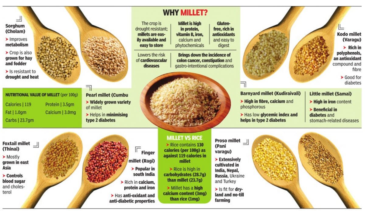 The&nbsp;term millet&nbsp;is used to describe&nbsp;small-grained cereals&nbsp;like&nbsp;sorghum (jowar),&nbsp;pearl millet (bajra),&nbsp;foxtail millet (kangni/ Italian millet),&nbsp;little millet (kutki),&nbsp;kodo millet,&nbsp;finger millet (ragi/ mandua),&nbsp;proso millet (cheena/ common millet),&nbsp;barnyard millet (sawa/ sanwa/ jhangora), and&nbsp;brown top millet (korale).  Millets&nbsp;were among the&nbsp;first crops to be domesticated. There is evidence for&nbsp;consumption of millets&nbsp;in the&nbsp;Indus-Sarasvati civilisation (3,300 to 1300 BCE). Several varieties that are now grown around the world were&nbsp;first cultivated in India.&nbsp;West Africa,&nbsp;China, and&nbsp;Japan&nbsp;are&nbsp;also home to indigenous varieties of the crop.  Millets are now grown in more than 130 countries, and are the&nbsp;traditional food&nbsp;for more than half a billion people in&nbsp;Asia and Africa. Globally,&nbsp;sorghum (jowar)&nbsp;is the&nbsp;biggest millet crop. The&nbsp;major producers of jowar&nbsp;are the&nbsp;United States,&nbsp;China,&nbsp;Australia,&nbsp;India,&nbsp;Argentina,&nbsp;Nigeria, and&nbsp;Sudan.&nbsp;Bajra is another major millet crop; India and some African countries are major producers.  In India,&nbsp;millets are mainly a kharif crop. During 2018-19, three millet crops &mdash;&nbsp;bajra (3.67%),&nbsp;jowar (2.13%), and&nbsp;ragi (0.48%)&nbsp;&mdash; accounted for&nbsp;about 7 per cent of the gross cropped area&nbsp;in the country, Agriculture Ministry data show.