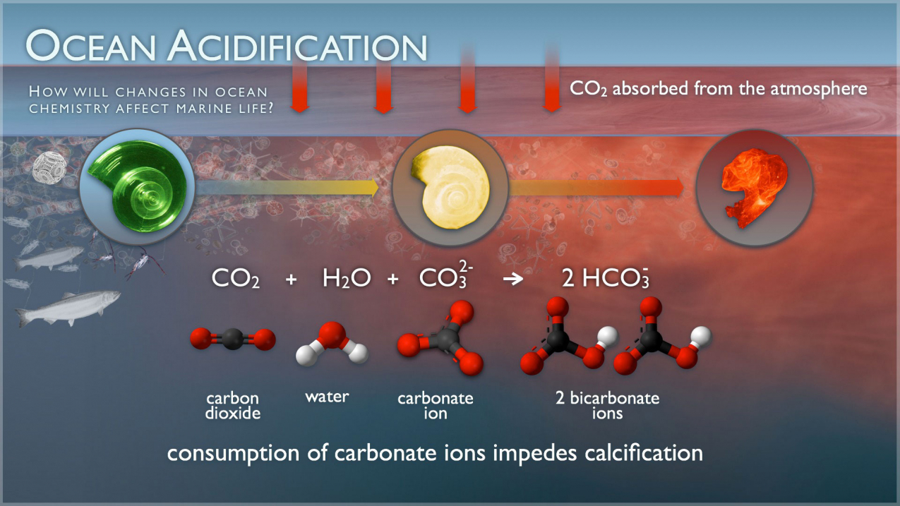 Acidification