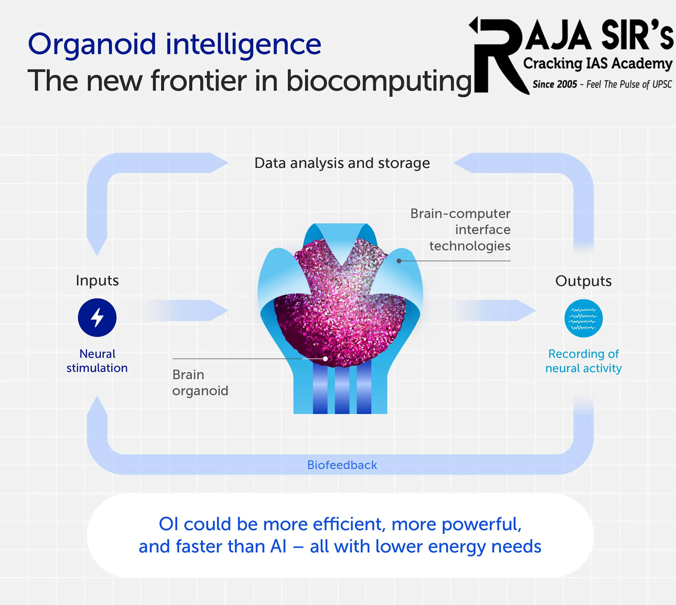  &lsquo;Bio-Computers&rsquo;  Brain organoids developed using stem cells from individualswith diseases like Parkinson''s disease and microcephaly can aid drug development for these conditions. 