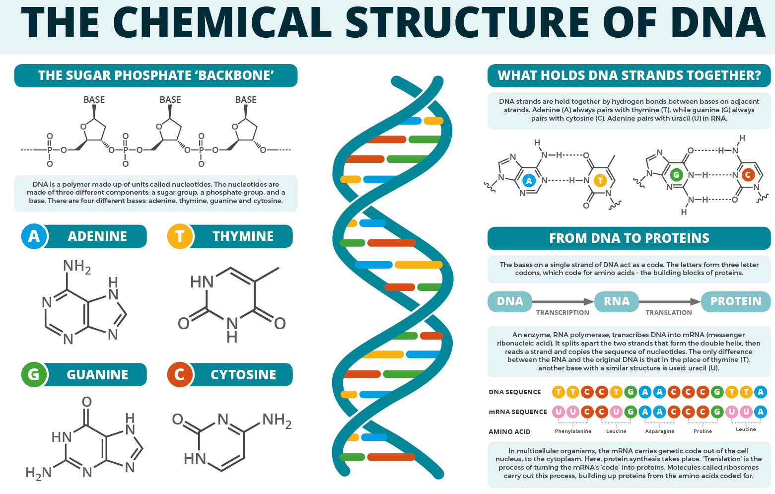 The Human Genome Project was a landmark global scientific effort whose signature goal was to generate the first sequence of the human genome. In 2003, the Human Genome Project produced a genome sequence that accounted for over 90% of the human genome.