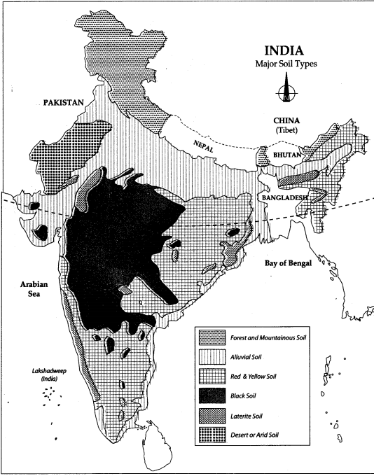 Black soils feed the global population and are under threat due to losing at least half of their soil organic carbon (SOC) stocks. Preserving natural vegetation on black soils such as grasslands, forests and wetlands and adopting sustainable soil management approaches on cropped black soils were the two main goals highlighted by the report.