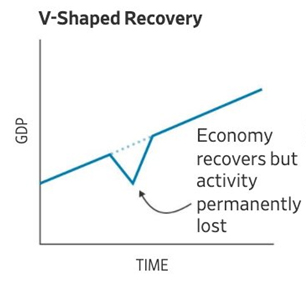 V&ndash;shaped&nbsp;