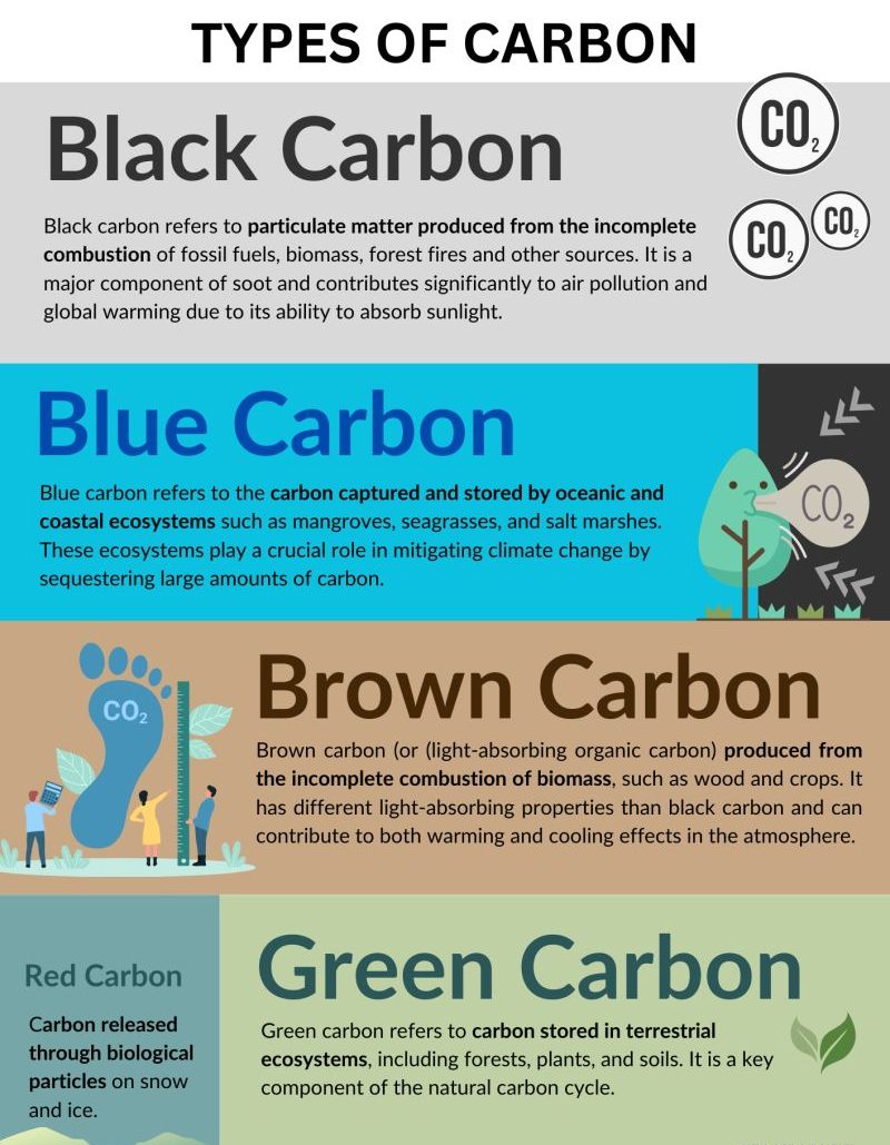 CARBON TYPES