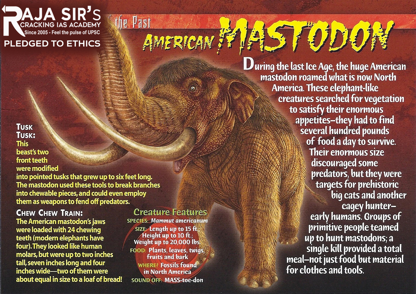 AMSTODON