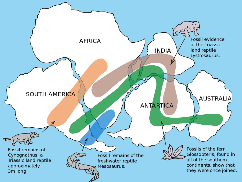 Continental Drift Theory&nbsp;
