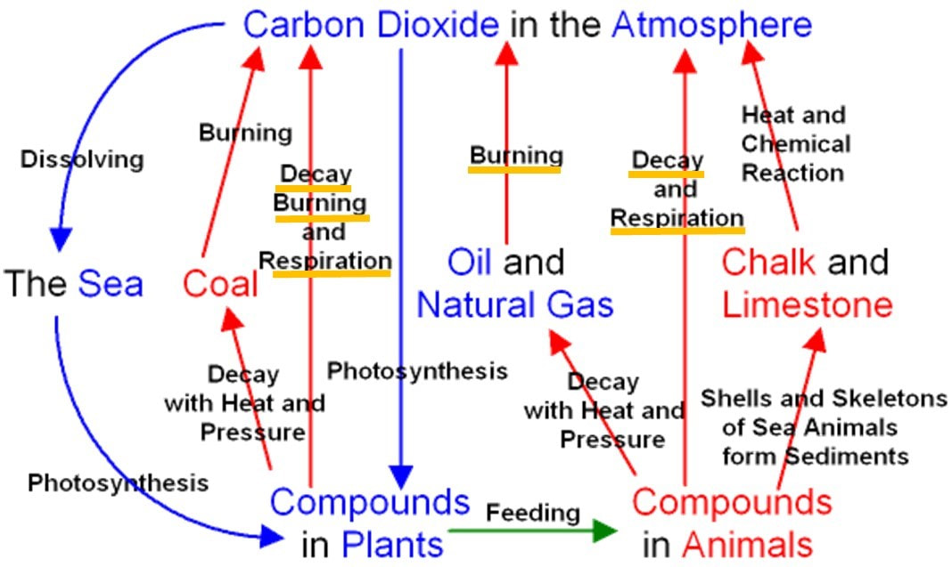 Chalk&rsquo;s Role in the Carbon Cycle