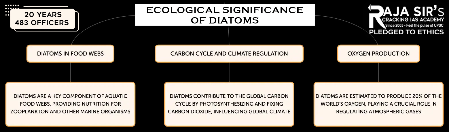 Diatoms