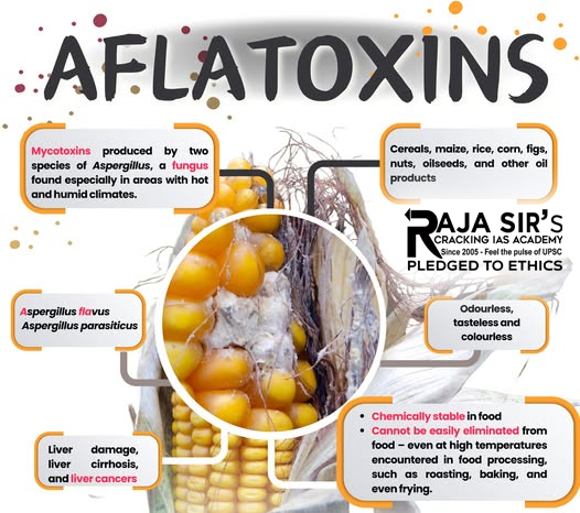AFLATOXINS