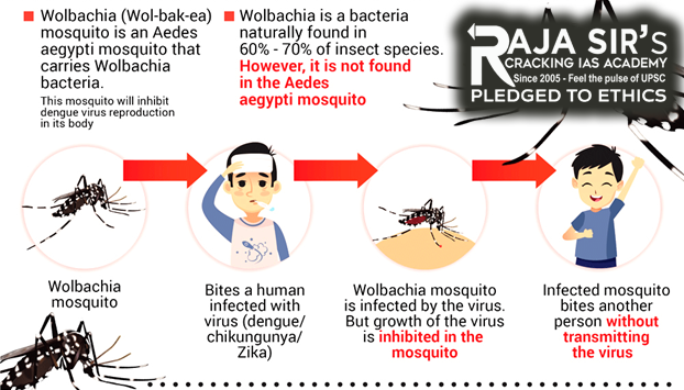 Wolbachia method