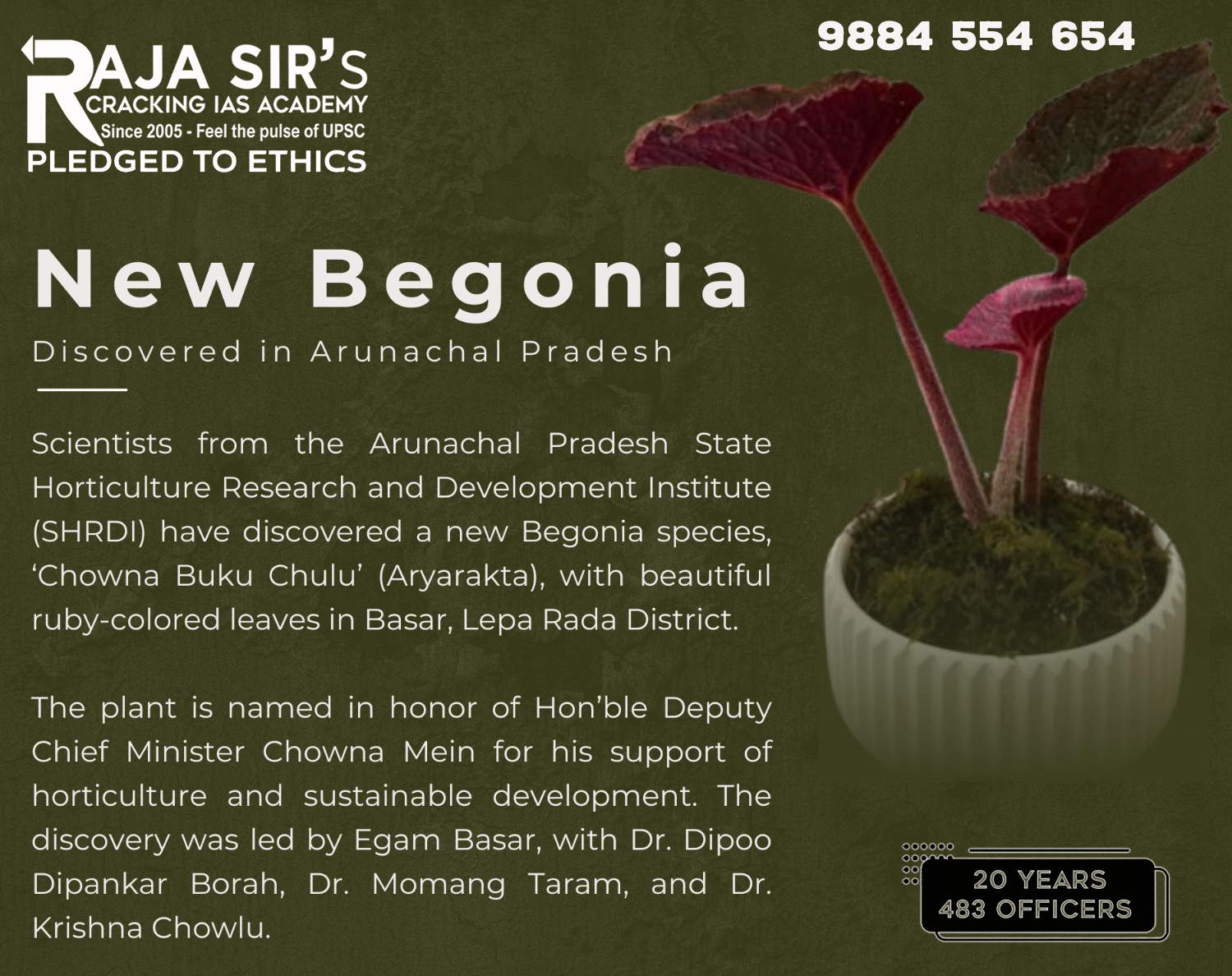 Chowna Buku Chulu begonia