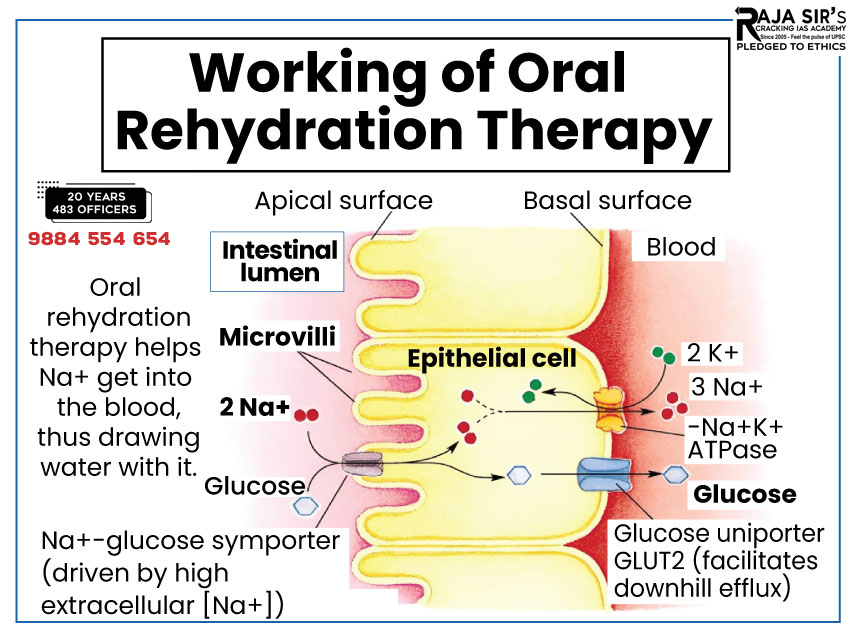 Oral Rehydration Solution