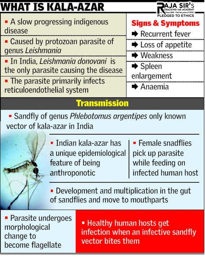 Kala Aazar and its status in India